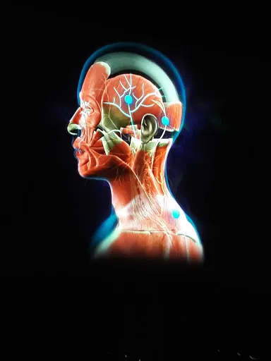 Prywatna Praktyka Lekarska Fatima Olko